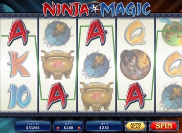 Ninja Magic Game View